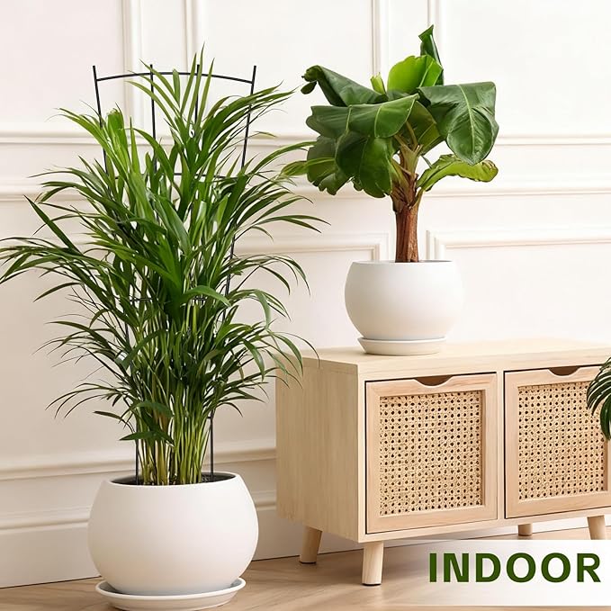 Trellis for Climbing Plants Indoor, 4 Pack 31'' Metal Plant Trellis Indoor for Potted Plants, Sturdy Plant Support Outdoor for Ivy Pothos Monstera Hoya Flower Vine, Fan Shape