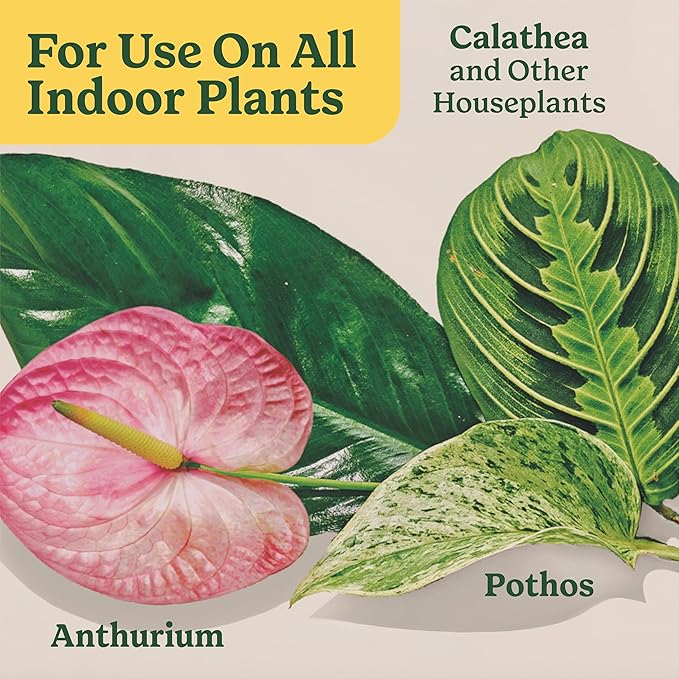 Miracle-Gro Indoor Plant Food for All Plants, Liquid Plant Food for Houseplants, Flowers, Vegetables, Herbs, and More, 8 fl. oz., 2-Pack