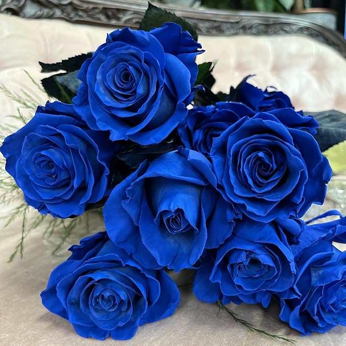 320+ Rose Seeds for Planting Perennial Rose Seeds Flower Bush Shrub Flowers Seed Beautiful Flower for Home Garden Great Gardening Gift