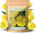 Created By Nature Evening Primrose Seeds, 44,000 Yellow Wildflower Seeds