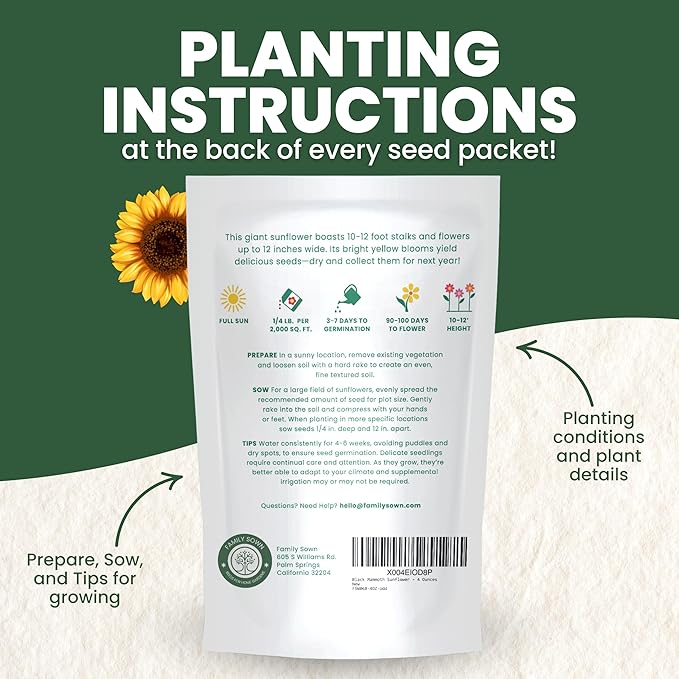Black Mammoth Sunflower - Bulk 1/4 Pound Pouch - 1,000 Flower Seeds for Planting - Helianthus annuus
