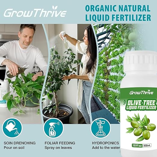 10oz Olive Tree Fertilizer & Nutrient Solution - Organic Microbial Probiotic Plant Food for Green Foliage, Root Growth & Fruit Production