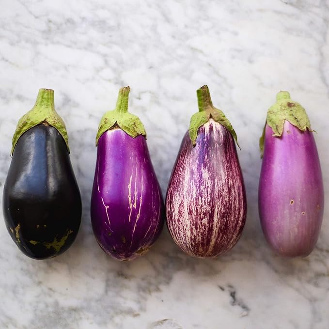Seeds Eggplant Long Mix- Heirloom Vegetable - GMO Free