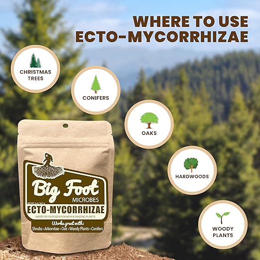 Big Foot Ecto Mycorrhizae Water Soluble Powder for Woody Plants - Shrubs, Arborvitae, Oak, Conifers, Christmas Trees - 2 Ounces