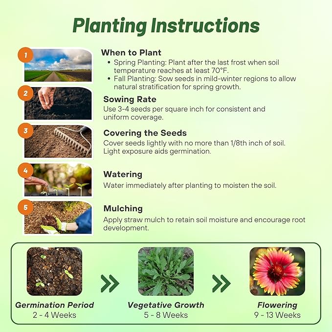 Outsidepride Gaillardia Aristata Red Blanket Flower Seeds for Planting - 1000 Pcs Perennial Wildflower Seeds, Drought-Tolerant for Xeriscaping, Borders, Pollinator Gardens, or Wildflower Mixes