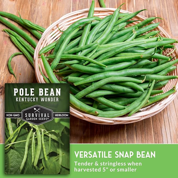 Survival Garden Seeds - Kentucky Wonder Pole Bean Seed for Planting - 5 Packets with Instructions to Plant and Grow Green Snap Beans in Your Home Vegetable Garden - Non-GMO Heirloom Variety