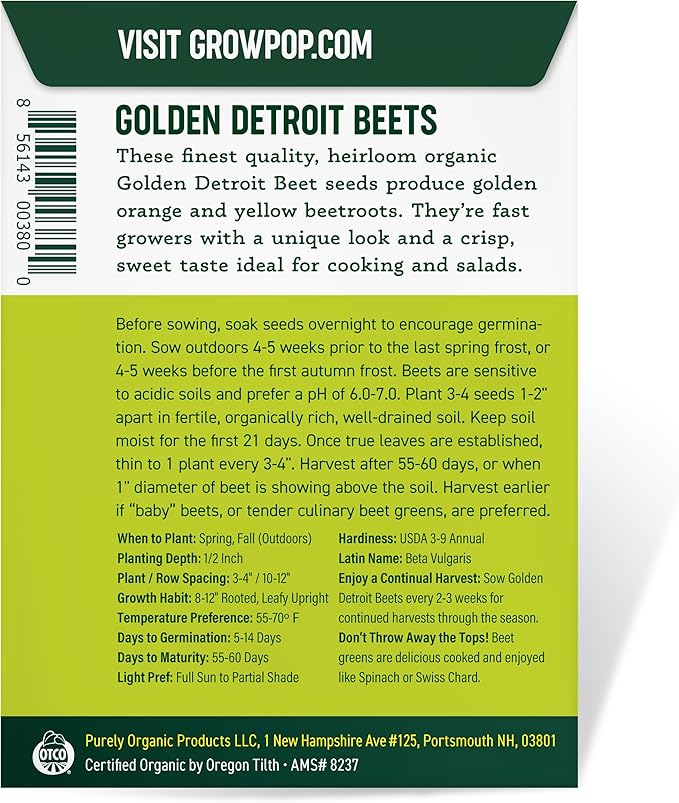 Purely Organic Golden Detroit Beet Seeds - Approx 500 Seeds - USDA Organic, Non-GMO, Open Pollinated, Heirloom, USA Origin