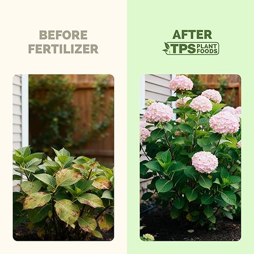 Hydrangea Fertilizer – Liquid Plant Food for Bigger Blooms, Rich Flower Color & Stronger Root Development, 8 oz