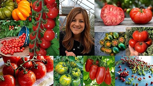 Espoma Organic 16 Ounce Concentrated Tomato! Plant Food - Plant Fertilizer for All Types of Tomatoes and Other Vegetables. for Organic Gardening. Pack of 1