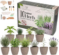 Window Herb Garden Kit – 10 GMO-Free Indoor Herbs with Biodegradable Bamboo Pots – Eco-Friendly Kitchen Planter Set for Easy Gardening & Sustainable Growing – A Unique Gift for Women and Kids