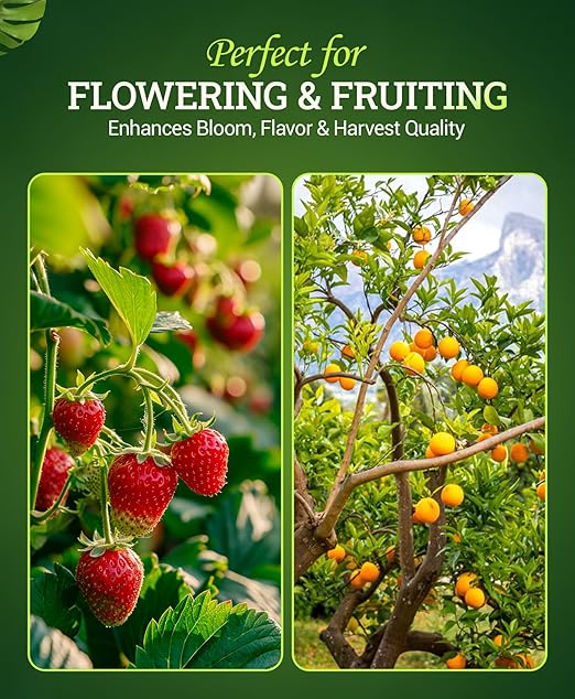FoxFarm Bush Doctor Bembé Sweet & Dandy Liquid Plant Fertilizer - Complex Nutrient Blend - 0-1-3 PK Fertilizer for In-Ground & Hydroponic Gardens - 1 Pint