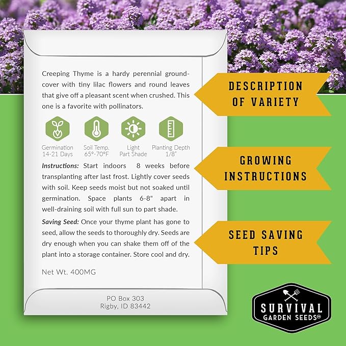 Creeping Thyme Seeds - Perennial Ground Cover Herb for Planting, Low Growing Lawn Alternative, Pollinator Friendly Garden - Heirloom Non-GMO Open Pollinated - Survival Garden Seeds (1 Pack)