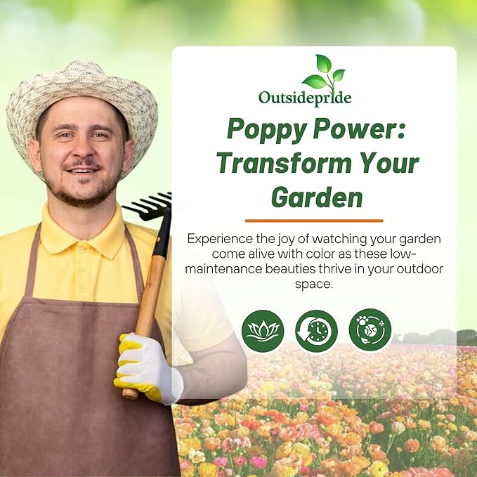 Outsidepride Ballerina Mix California Poppy Seeds - 10000 Pieces Annual, Drought-Tolerant, Self-Sowing Eschscholzia Wildflower Seeds w/Vibrant Color Blooms for Pollinator-Friendly Gardens & Borders