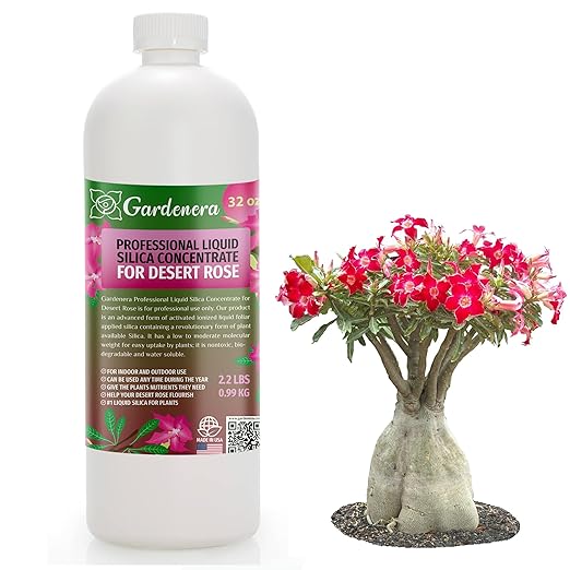 𝐏𝐑𝐎𝐅𝐄𝐒𝐒𝐈𝐎𝐍𝐀𝐋 Liquid Silica Plant Supplement - 32oz - Desert Rose Plants Liquid Silica Boost Fertilizer - Stronger Stems & Healthy Leaves for Indoor & Outdoor Plants (Makes 180 Gallons)