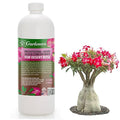 𝐏𝐑𝐎𝐅𝐄𝐒𝐒𝐈𝐎𝐍𝐀𝐋 Liquid Silica Plant Supplement - 32oz - Desert Rose Plants Liquid Silica Boost Fertilizer - Stronger Stems & Healthy Leaves for Indoor & Outdoor Plants (Makes 180 Gallons)