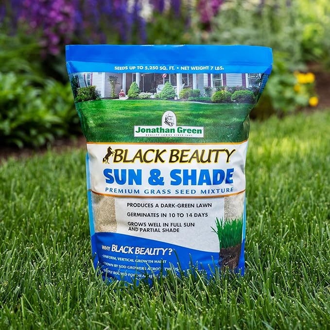 Jonathan Green (12005) Black Beauty Sun & Shade Grass Seed - Cool Season Lawn Seed (7 lb)