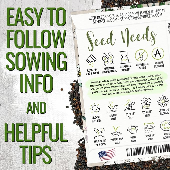 Seed Needs White Baby's Breath Seeds for Planting - Heirloom & Open Pollinated Annual Flowers - Perfect for a Butterfly Garden, Bouquets & Floral Arrangements (2 Packs)