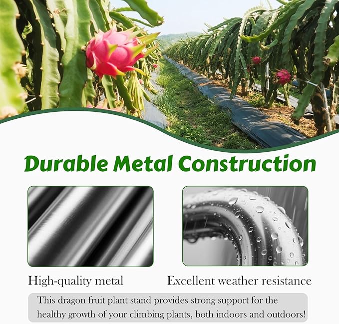Metal Dragon Fruit Trellis，Adjustable Dragon Fruit Plant Trellis for Vertical Gardening and Climbing Plants Trees Cactus Garden Outdoor Indoor Potted Support （Black）