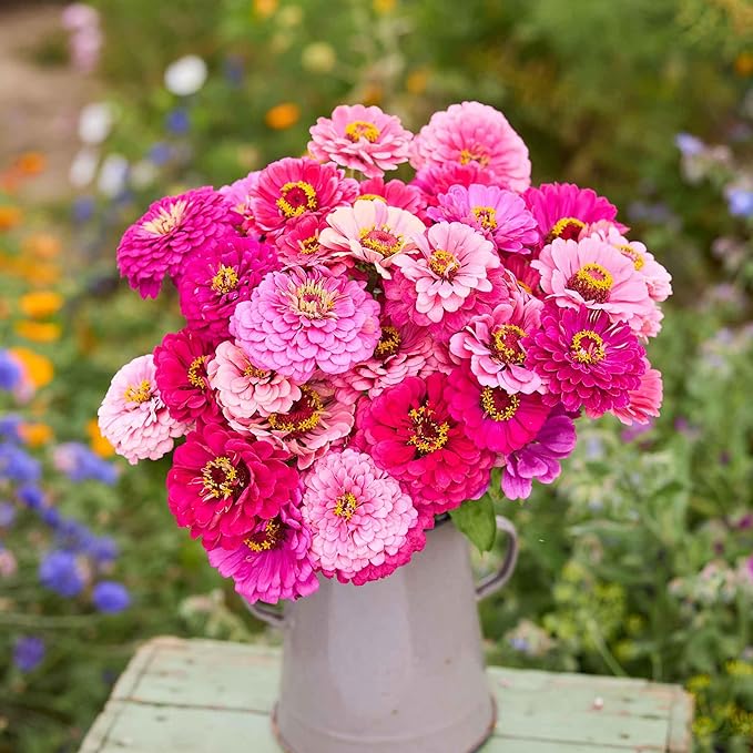 Eden Brothers Zinnia Seeds - Art Deco Mix, Non-GMO Seeds for Planting, Packet | Low-Maintenance Flower Seeds, Plant During Spring, Zones 3, 4, 5, 6, 7, 8, 9, 10