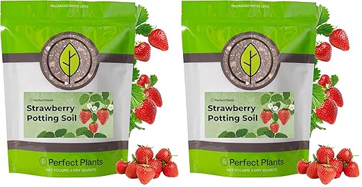 Perfect Plants Organic Strawberry Potting Mix | Organic Premium Mix | Use with Strawberry's, Pineberry's, or Other Fruit Plants (4qt) (Pack of 2)