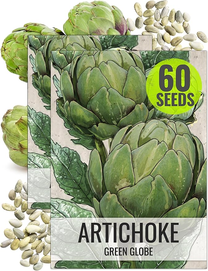 Seed Needs Artichoke Seeds for Planting Green Globe Artichokes - Non-GMO Heirloom & Untreated - Grow an Outdoor Home Grown Vegetable Garden for Fresh Produce (2 Packs)