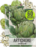 Seed Needs Artichoke Seeds for Planting Green Globe Artichokes - Non-GMO Heirloom & Untreated - Grow an Outdoor Home Grown Vegetable Garden for Fresh Produce (2 Packs)