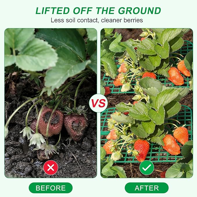Strawberry Plant Supports, 10 Pack Square Frames Keep Strawberries Off Ground, Garden Holders for Cleaner Strawberry Fruit & Easier Harvest