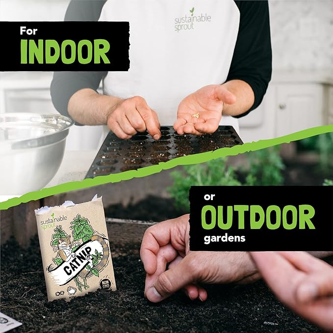 Sustainable Sprout Medicinal Tea Seeds, 8 Variety Pack Herbal Tea Heirloom Seeds, Catnip, Lavender, Peppermint, Lemon Balm, Bee Balm, Echinacea, Sage & Chamomile for Planting, Homesteading Essentials