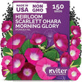KVITER 150 Scarlett O'Hara Morning Glory Seeds for Planting (Ipomoea Nil) – Red Morning Glory Vine Seed Packets – Non GMO Heirloom Flower Seeds to Plant Outside Home Garden, Containers, Trellises
