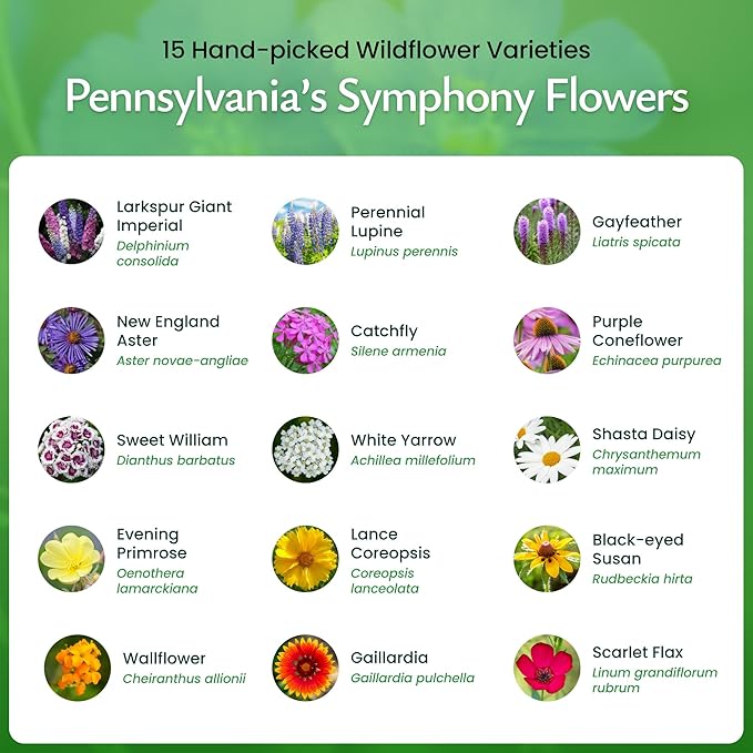 Created By Nature Pennsylvania Wildflower Seed Mix, 15 Flower Varieties, 50,000 Seeds
