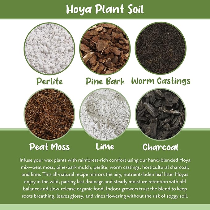 Soil Sunrise Hoya Plant Potting Soil Mix (8 Quarts) Custom Blend for Growing Hoya Tropical Houseplants