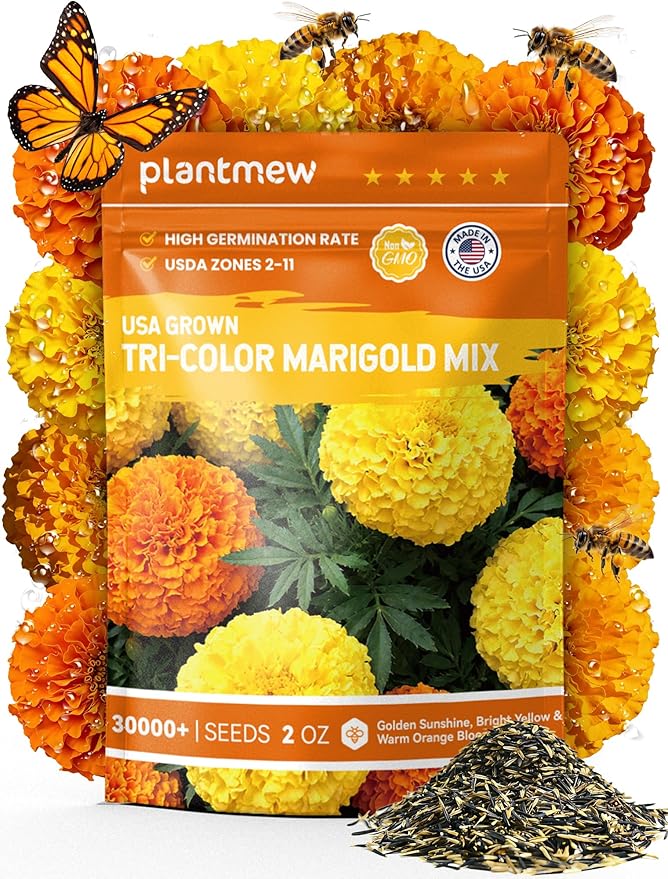 Tri-Color Marigold Seeds Bulk - 60,000+ Heirloom Flower Seeds for Planting Outdoors, Dwarf French Marigolds, Non-GMO Pollinator Magnet with High Germination, Quick Blooming