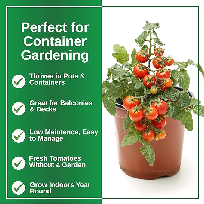 TKE Farms & Gardens - Tiny Tim Tomato Seeds for Planting, 60+ Non-GMO Heirloom Seeds, Compact Cherry Tomatoes for Small Spaces, Ideal for Containers, Indoor & Outdoor Gardens, Instructions Included