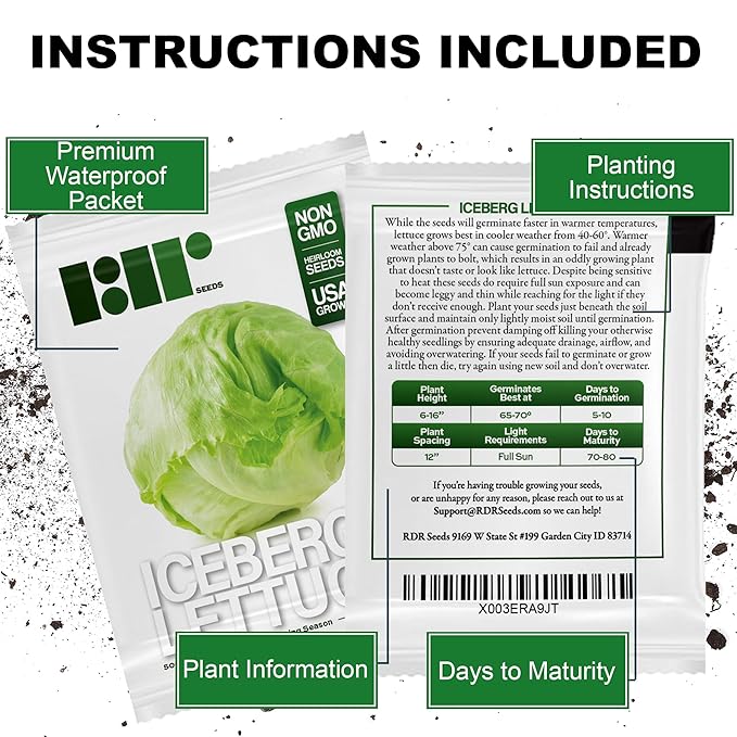 500 Iceberg Lettuce Seeds for planting - Heirloom Non-GMO USA Grown Premium Vegetable Seeds for Planting Home Garden - Crisphead Heading Lettuce Lactuca Sativa by RDR Seeds