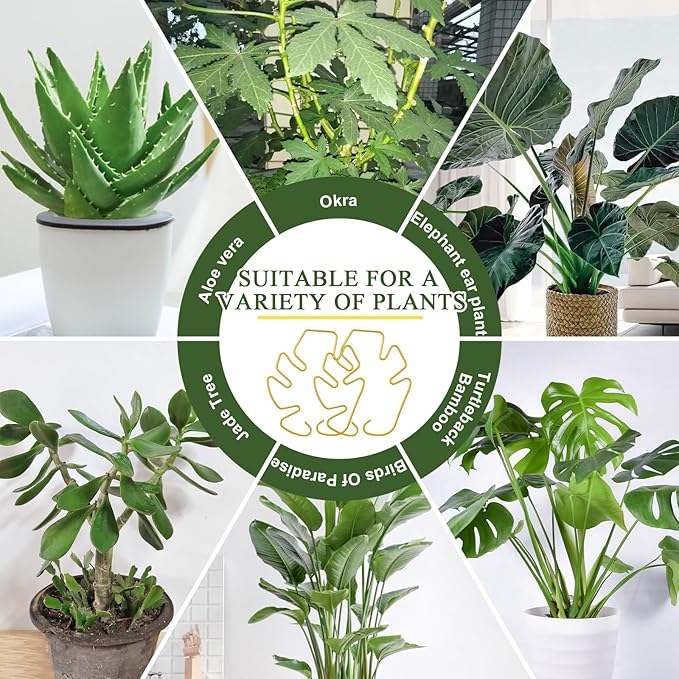 5PCS Monstera Plant Support, Metal Plant Supports Plant Stem Holder Durable Sturdy Plant Stabilizer for Indoor Plants Climbing Plants Outdoor Moss Pole Thriving Growth (Gold)