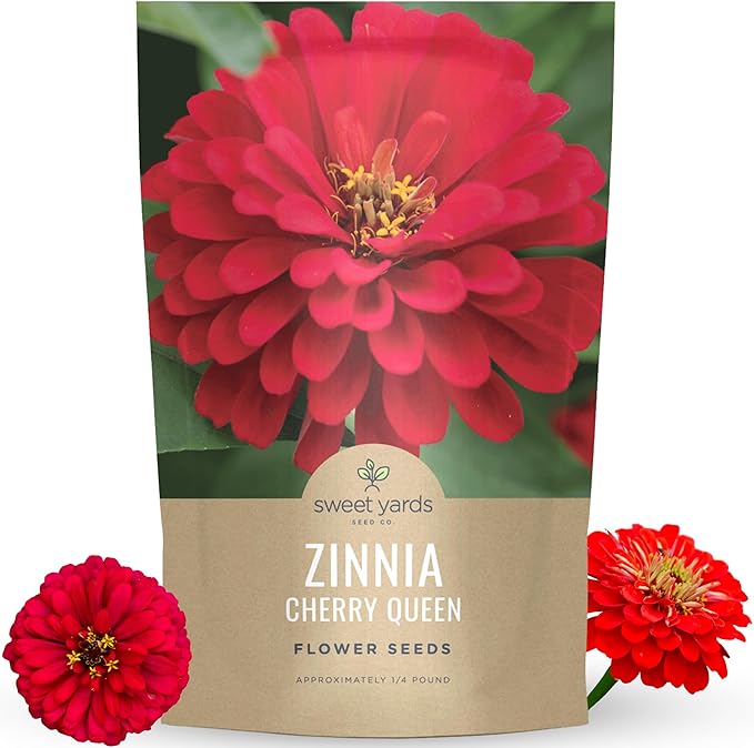 Zinnia Cherry Queen – Large 4 Ounce Packet – 16,000 Flower Seeds for Planting – Zinnia elegans