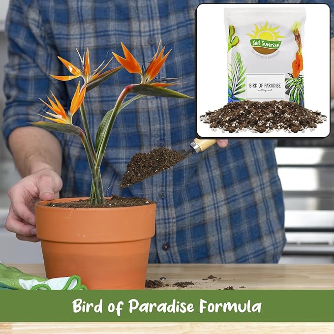 Soil Sunrise Bird of Paradise Potting Soil Mix (8 Quarts) All Natural Mix for Indoor/Outdoor Container Tropical Plants