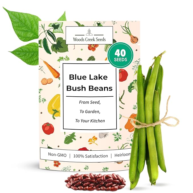 Woods Creek Seeds: Blue Lake Bush Bean Seeds for Planting - Non-GMO Green Bean Seeds for Planting - Tender Stringless Variety - USA Grown Heirloom Bush Beans Vegetable Seed for Outdoors and Indoors