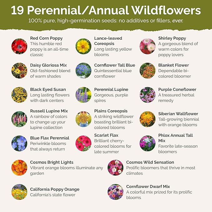 Eden Brothers Missouri Wildflower Mixed Seeds for Planting, 1/4 lb, 120,000+ Seeds with Lupine, Coreopsis | Attracts Pollinators, Plant in Spring or Fall, Zones