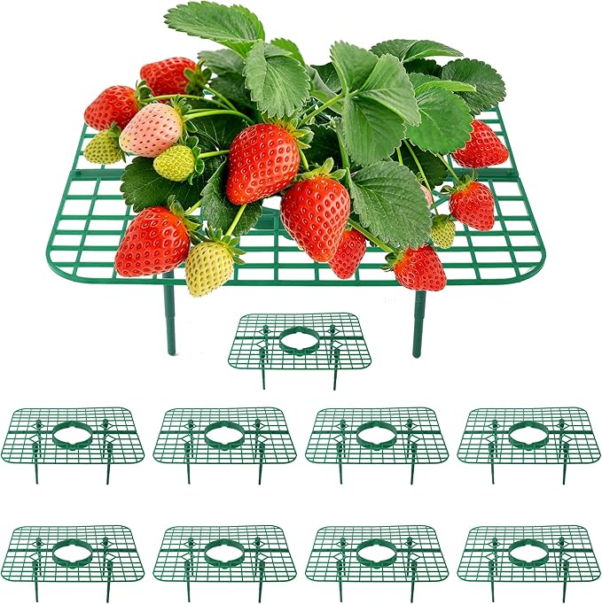 Strawberry Plant Supports, 10 Pack Square Frames Keep Strawberries Off Ground, Reusable Strawberry Plant Stands for Cleaner Strawberries & Easy Harvest