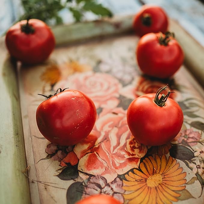 Rose de Berne Heirloom Tomato - 50 Seeds - Rare Heirloom Pink Tomato Variety, Non-GMO Vegetable Seeds for Planting in The Home Garden, Thresh Seed Company
