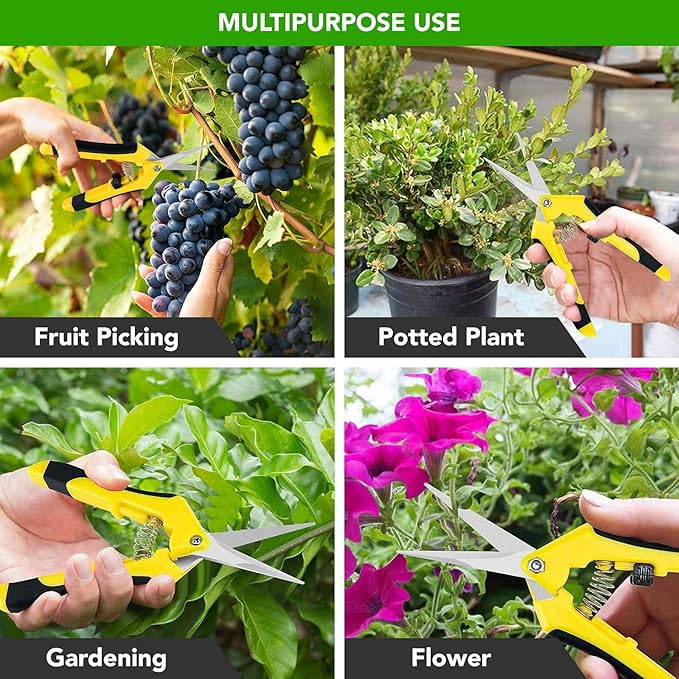 iPower 6.5 Inch Gardening Scissors Hand Pruner Pruning Shear for Gardening and Trimming, Heavy-Duty, Ultra Sharp Stainless Steel, Yellow, 2-Pack