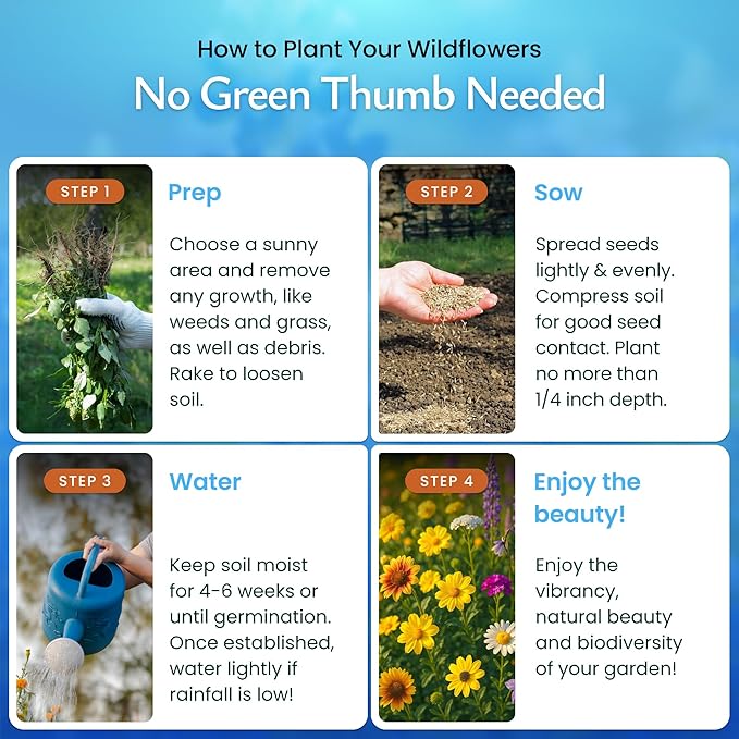 Created By Nature Deer-Resistant Wildflower Seed Mix, 17 Flower Varieties, 44,000 Seeds