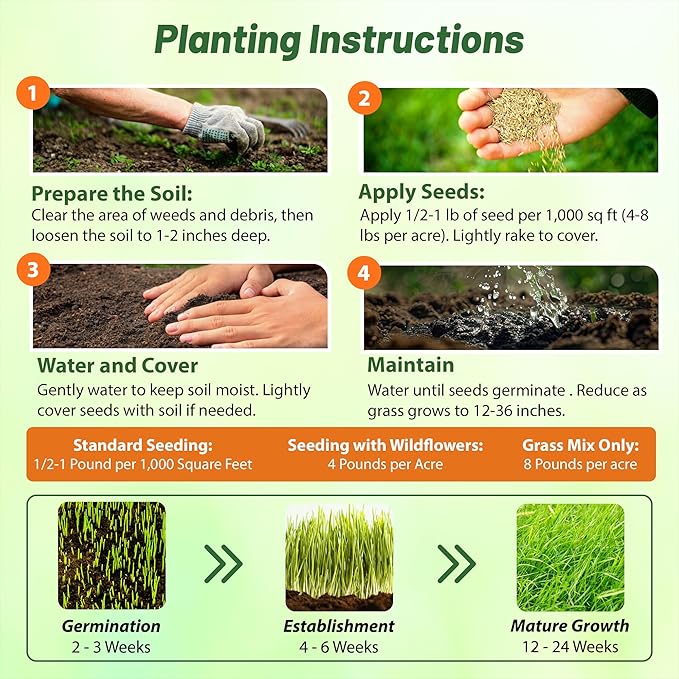 Outsidepride Southwest Native Grass Seed Mix - 25 lbs. Perennial Warm & Cool Season Grasses, Drought & Heat-Tolerant, Low Maintenance, Ideal for Erosion Control, Pasture, & Natural Landscaping