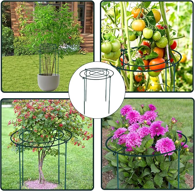 4Set Metal Peony Grid Cages, 30"H X 13"D Large Flower Support Cages Grow Through Hoop Ring Peony Stakes Garden Plant Support Rings Heavy Duty Plant Braces Peonies Structure for Outdoor Plants Blossoms