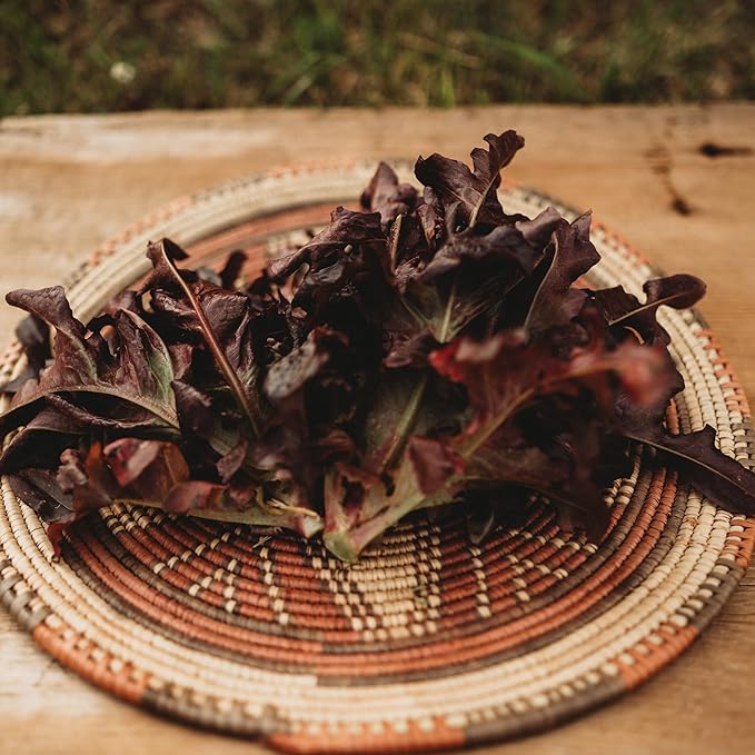 Red Oakleaf Leaf Lettuce - 250 Seeds - Heirloom Oakleaf Lettuce Variety, Great for Cutting, Spring Mix & Mesclun, Non-GMO Leaf Lettuce Seeds for Planting in The Home Garden, Thresh Seed Company
