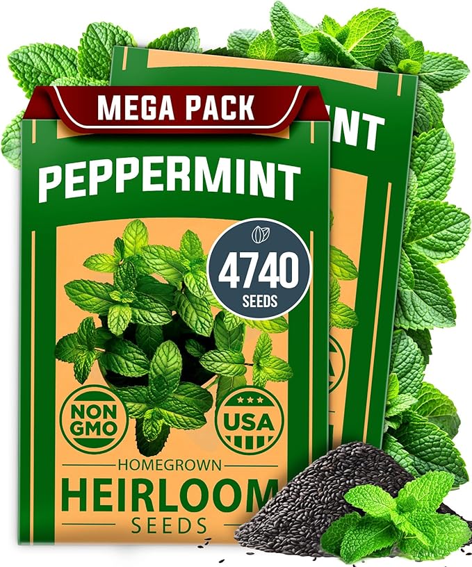 HOME GROWN Genovese Basil Seeds 2 Pack 3500 & Peppermint 4,740 & White Sage 646 & Lemon Balm 806
