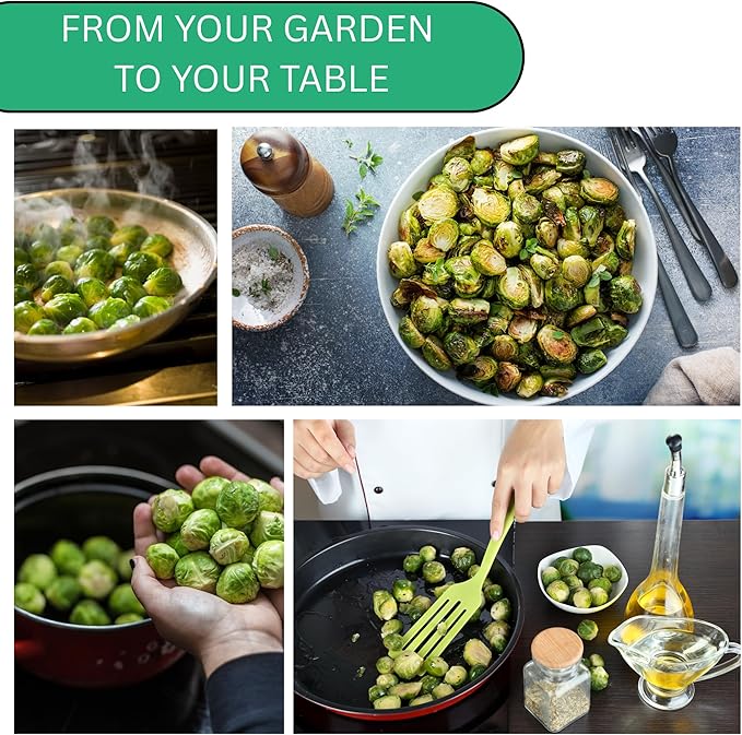 Woods Creek Seeds: Long Island Brussel Sprouts Seeds for Planting - Over 900 Heirloom Non-GMO Brussels Sprouts Seed Pack for Fall & Winter Gardens - Brussel Sprout Seeds for Indoor & Outdoor Garden