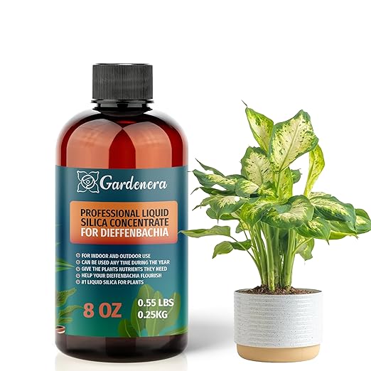 𝐏𝐑𝐄𝐌𝐈𝐔𝐌 Liquid Silica Plant Supplement - 8oz (250mL) - DIEFFENBACHIA Plants Liquid Silica Boost Fertilizer - Stronger Stems & Healthy Leaves for Indoor & Outdoor Plants (Makes 45 Gallons)