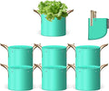 SPONDWILD 7 Pcs 2 Gallon Potato Grow Bag, PE Garden pots Plant Grow Bag with Branch-Binding Holes and Drain holefor for Vegetables, Strawberries, Flowers